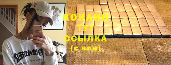 МДПВ Мегион