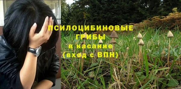 герыч Медногорск