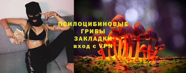 герыч Медногорск
