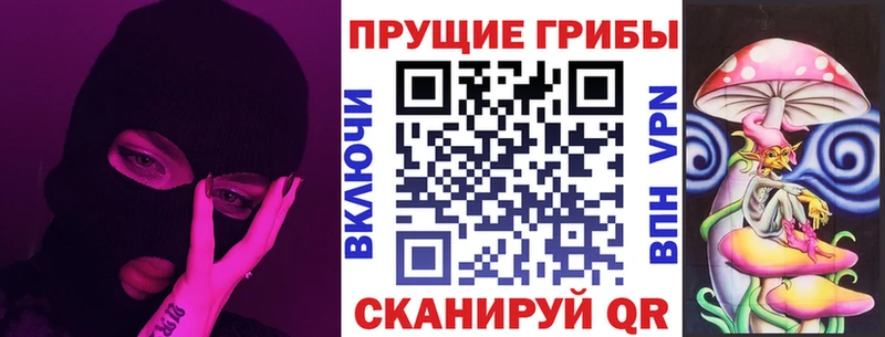 купить наркоту Талдом Галлюциногенные грибы Psilocybe